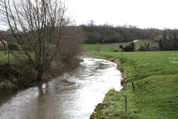 Aide ménagère Bassenge