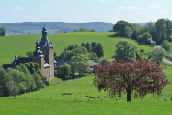 aide ménagère à Fourons